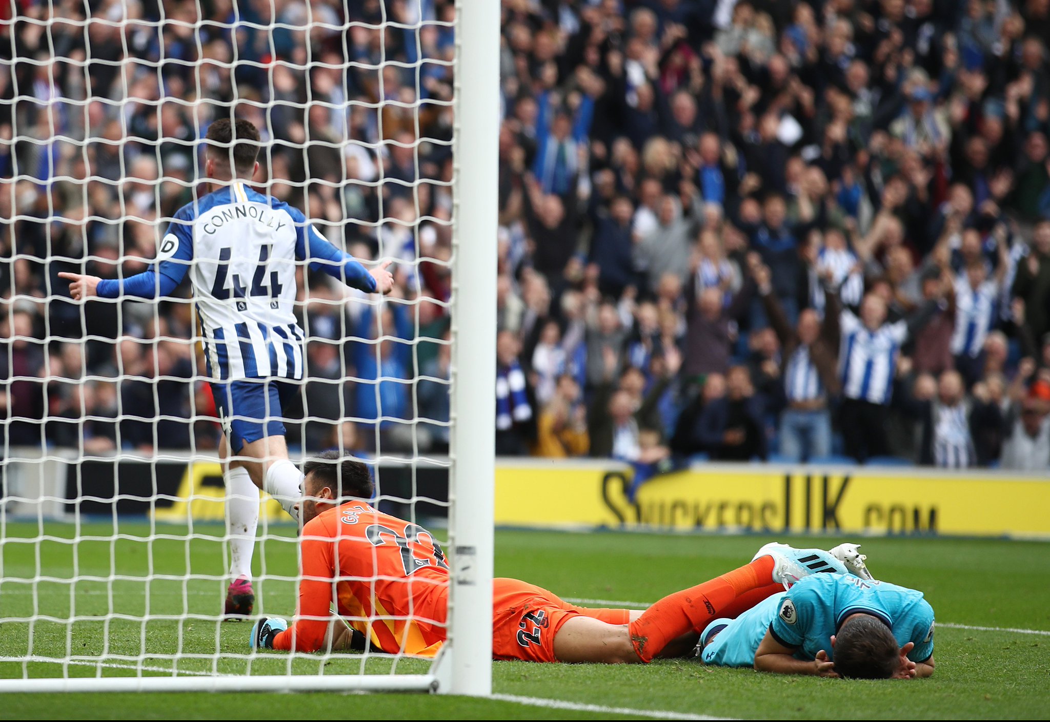 它可能决定 它可能决定